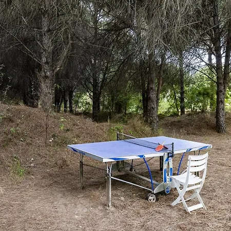 Apartment Cigale 2 Argelès-sur-Mer