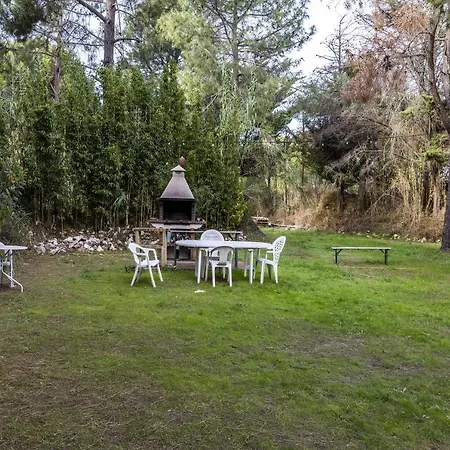 Cigale 2 Argelès-sur-Mer