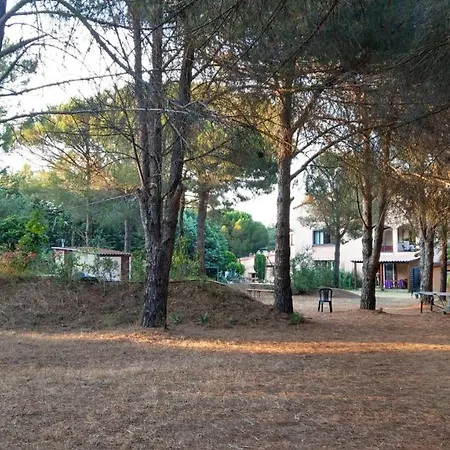 Cigale 2